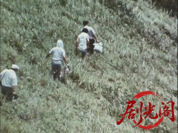 にっぽん６９セックス猟奇地帯.mkv_20260630_105809.290.jpg