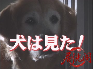 犬は見た2008.mkv_20260701_122346.065.jpg