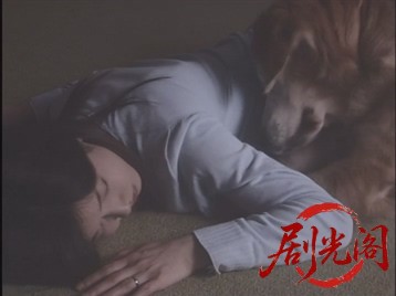 犬は見た2008.mkv_20260701_122323.822.jpg