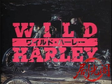 ワイルド・ハーレー.mkv_20260714_172039.666.jpg