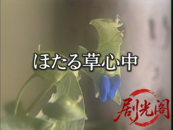 京都サスペンスほたる草心中.mkv_20260714_184403.324.jpg