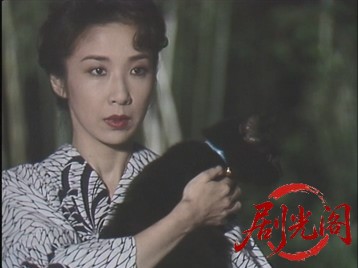 京都サスペンス月下美人殺人事件.mkv_20260714_185736.462.jpg