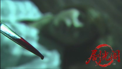 京都南署鑑識ファイル8（主演・田中美里）.mkv_20260730_163545.006.jpg