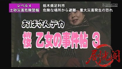 おばさんデカ 桜乙女の事件帖3.mkv_20260803_142904.963.jpg