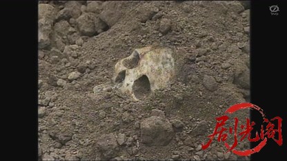 監察医室生亜季子30 震える顔.mkv_20260805_171654.323.jpg
