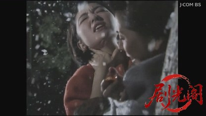 山村美紗サスペンス 女検視官江夏冬子 京都冬化粧殺人事件.mkv_20260805_174623.818.jpg