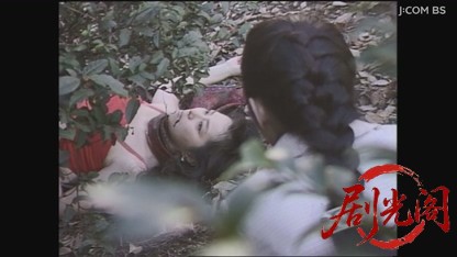 山村美紗サスペンス 看護婦探偵戸田鮎子 死の誕生パーティー.mkv_20260808_133551.330.jpg
