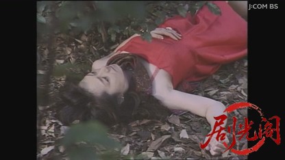 山村美紗サスペンス 看護婦探偵戸田鮎子 死の誕生パーティー.mkv_20260808_133548.092.jpg