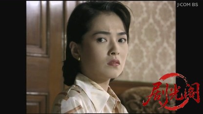 山村美紗サスペンス 女検視官江夏冬子 京都奥嵯峨殺人絵巻.mkv_20260808_200504.139.jpg