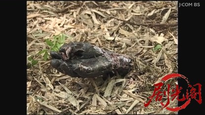 山村美紗サスペンス 女検視官江夏冬子 京都宵山殺人事件.mkv_20260808_202237.723.jpg