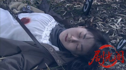 西村京太郎サスペンス 鉄道捜査官10.mkv_20260808_211423.788.jpg