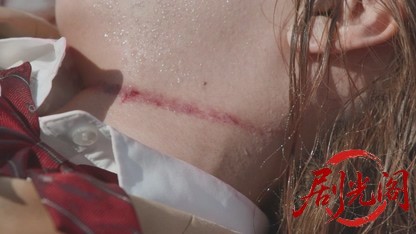 さすらい署長風間昭平スペシャル富士山河口湖殺人事件.mkv_20260811_171553.446.jpg