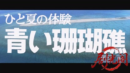 ひと夏の体験青い珊瑚礁1981.mkv_20260816_172543.667.jpg