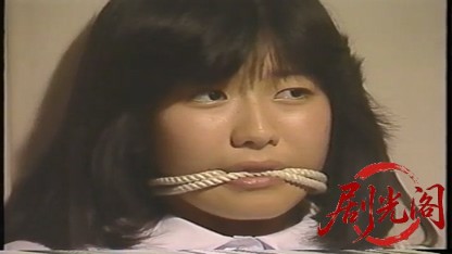 ミナトの风子さすらい殉情篇 (1991).mp4_20260818_192449.140.jpg
