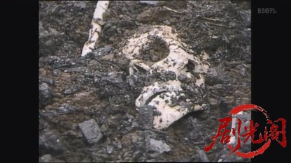 監察医室生亜季子6.mkv_20260823_202420.639.jpg