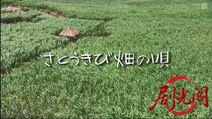 さとうきび畑の唄2003.mkv_20260829_211748.120.jpg
